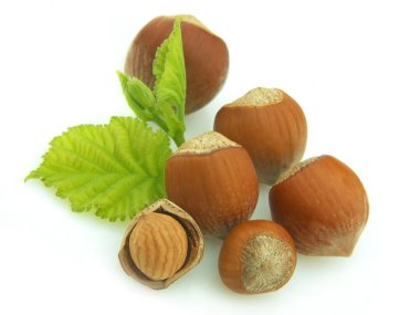 Group of wood nuts clipart