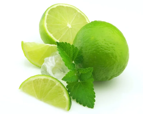Citruses with mint and ice cube — Stock Photo, Image