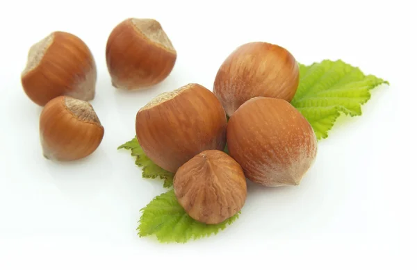 Dřevo ořechy — Stock fotografie