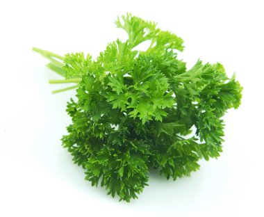 Curly parsley clipart