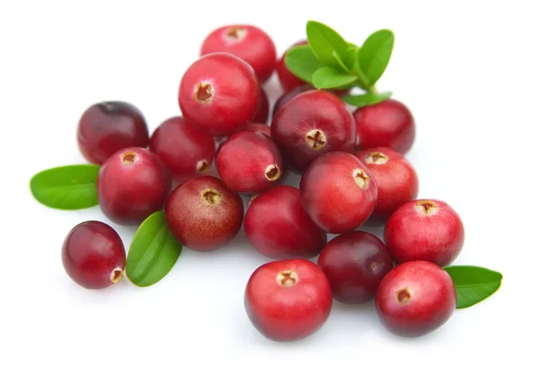 Rijp cranberry — Stockfoto