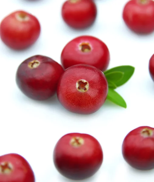 多汁的小红莓 — 图库照片