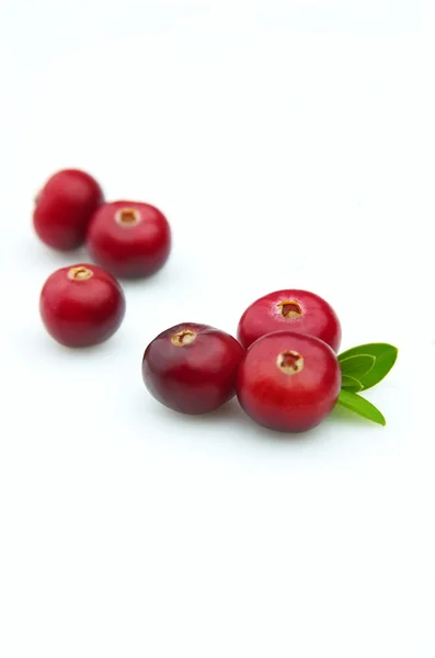 Ripe cranberry — Stock Photo, Image