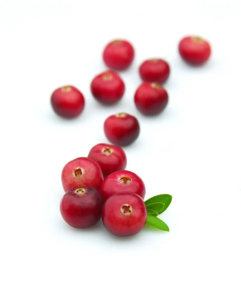 Cranberry with a leaf — Stock Photo, Image