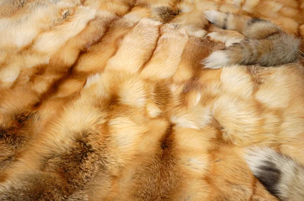 The fox skins — Stock Photo, Image