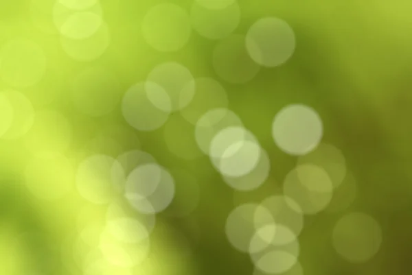 stock image Defocused Green Background