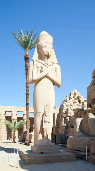 Standbeeld van ramses ii in karnak — Stockfoto