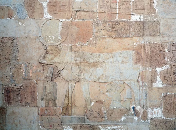APIs. τοίχο διακόσμηση Αίγυπτος — Φωτογραφία Αρχείου