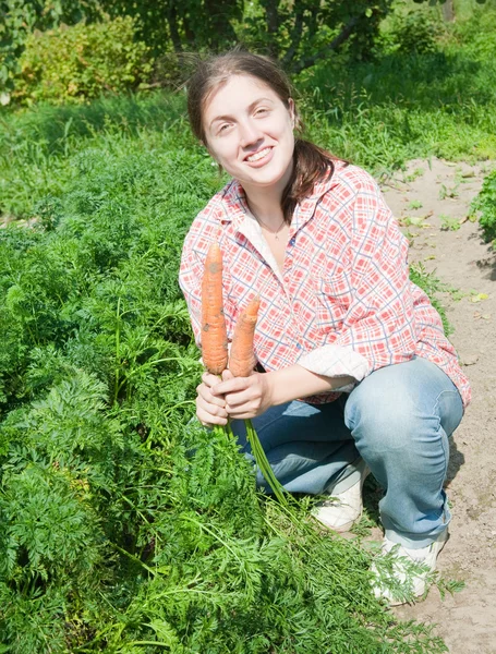 Menina pegando cenoura no campo — Fotografia de Stock