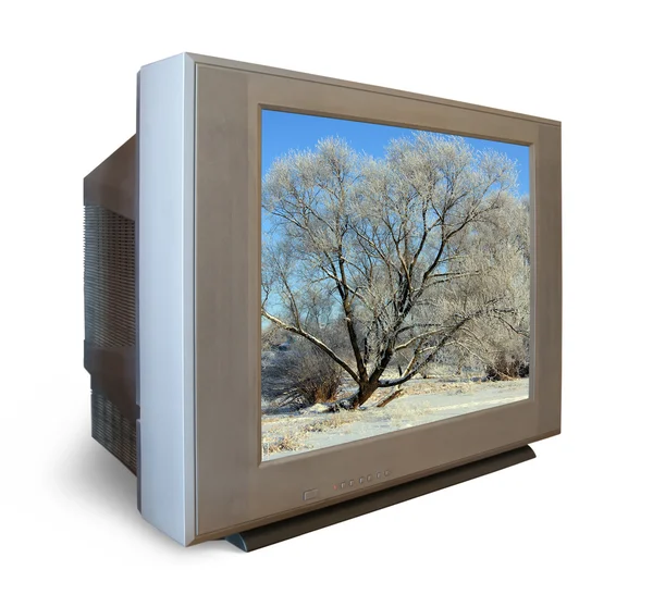 TV ile dondurulmuş ağacı kışın ayarlayın. — Stok fotoğraf