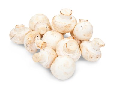 Champignon mushroom clipart