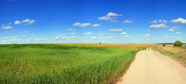 Panorama de paisagem de verão — Fotografia de Stock