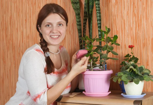 Kvinna rengöring blommor i potten — Stockfoto