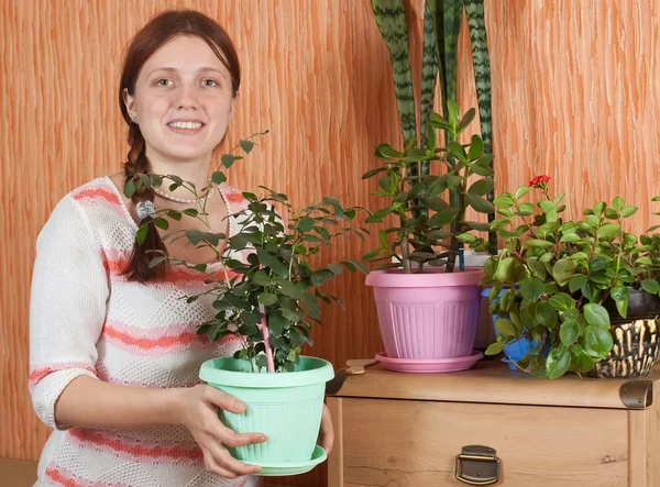 Vrouw met bloemen in potten — Stockfoto