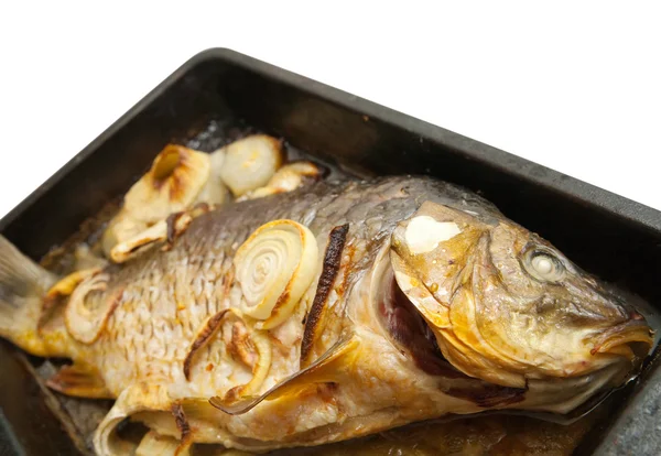 Grillezett ponty hal a serpenyő — Stock Fotó