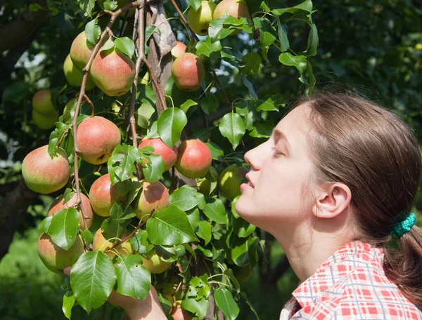Flicka med äpplen i trädgården — Stockfoto