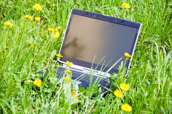 Laptop på gräs Stockbild