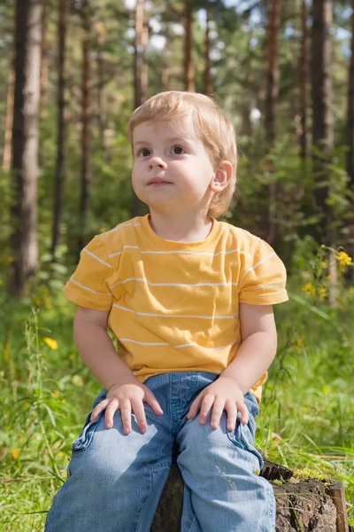 Маленький мальчик сидит в лесу — стоковое фото
