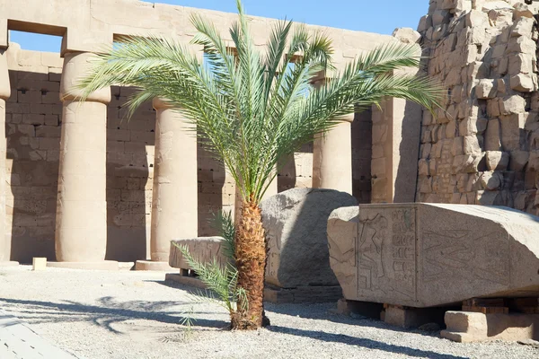 Карнакский храм в Луксор — стоковое фото