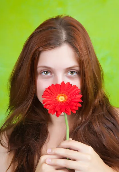 Μακρυμάλλης κορίτσι με το κόκκινο λουλούδι — Φωτογραφία Αρχείου