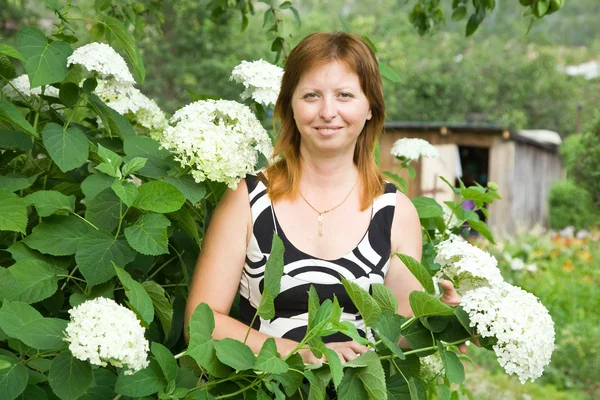 Jardineiro mulher com hortênsia — Fotografia de Stock