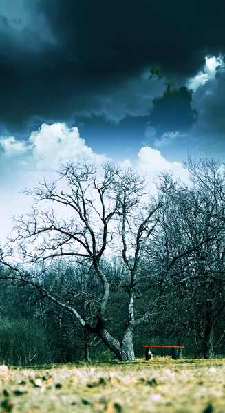Unheimliche Landschaft mit Baum — Stockfoto