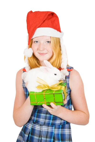 Menina em santa chapéu com coelhos — Fotografia de Stock
