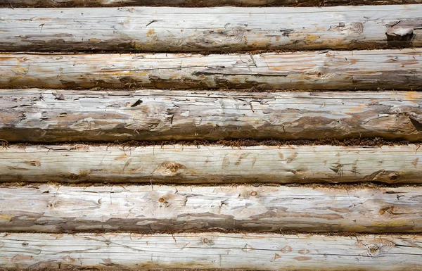 Wall from wooden logs — Stock Photo, Image