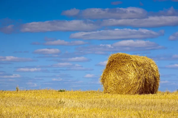 stock image Golden hay bales