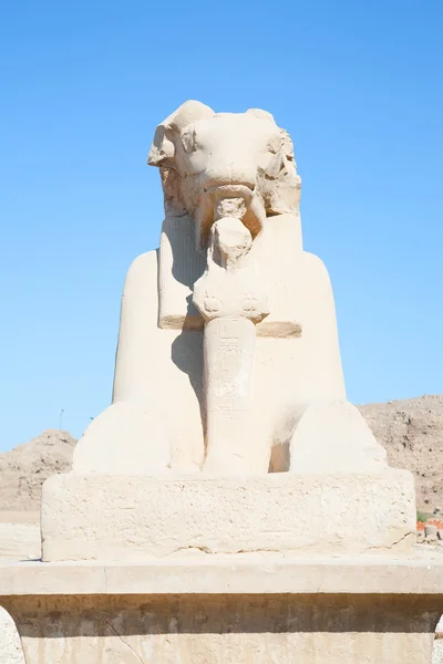 Widderkopf-Sphinx am Karnak-Tempel — Stockfoto