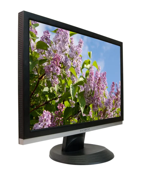 LCD-monitor met lila — Stockfoto
