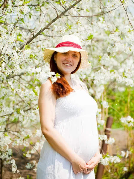 6 mesi donna incinta — Foto Stock