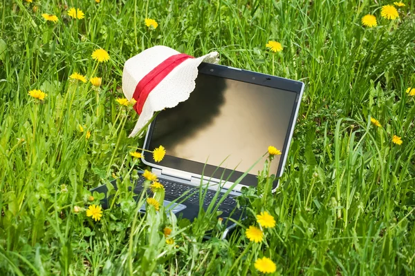 Laptop on the grass — Stock Photo, Image