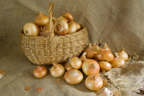 Cebolla en cesta — Foto de Stock