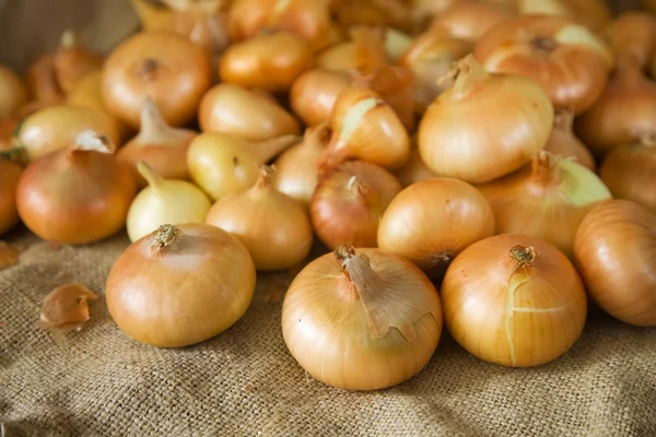Onion on sacking — Stock Photo, Image