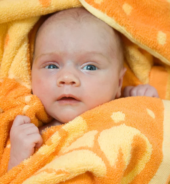 Baby wrapped in blanket — Stock Photo, Image