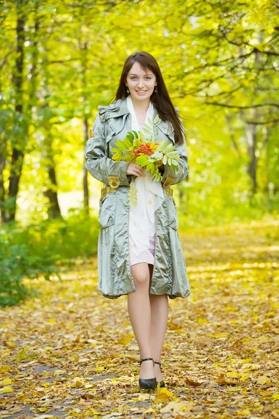 Chica en el parque de otoño —  Fotos de Stock
