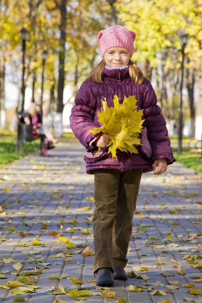 Akçaağaç yaprakları ile kız — Stok fotoğraf