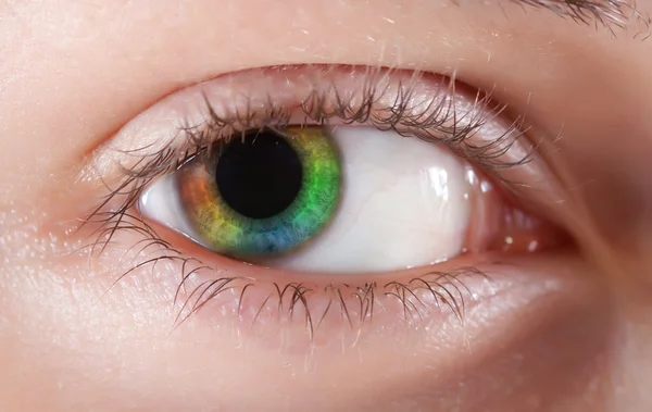 Girl's multicolored eye — Stock Photo, Image