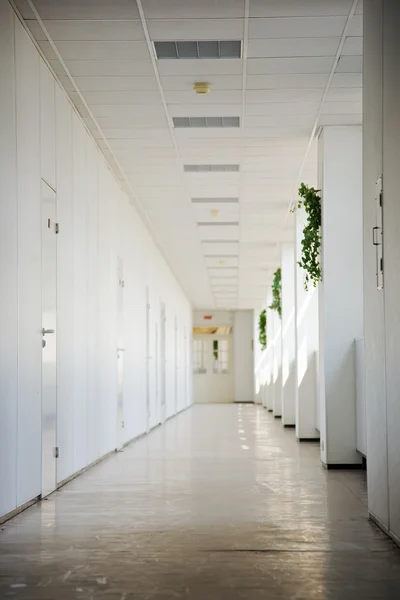 Büroflur Mit Türen Business Center — Stockfoto