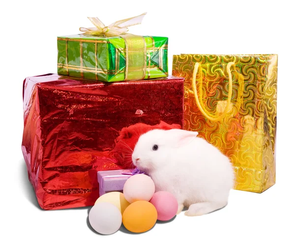 Witte Pasen Konijn Met Geschenken Geïsoleerd Witte Achtergrond — Stockfoto