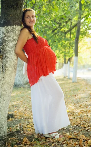 Πορτρέτο Του Μηνών Έγκυος Γυναίκα Στη Θερινή Ημέρα — Φωτογραφία Αρχείου