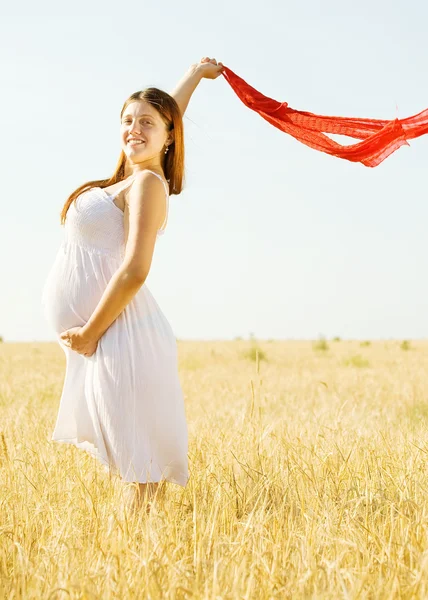 夏の畑で ヶ月妊娠中の女性の肖像画 — ストック写真