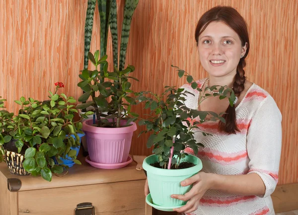 Attractive Woman Flowers Pot Her Home — Stock Photo, Image
