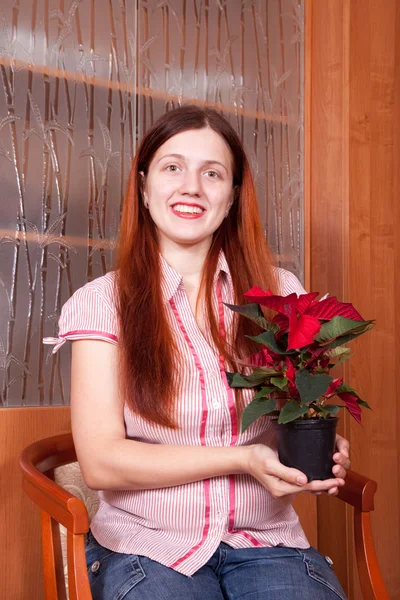 ポインセチアの花開花鍋彼女の自宅で若い女性 — ストック写真