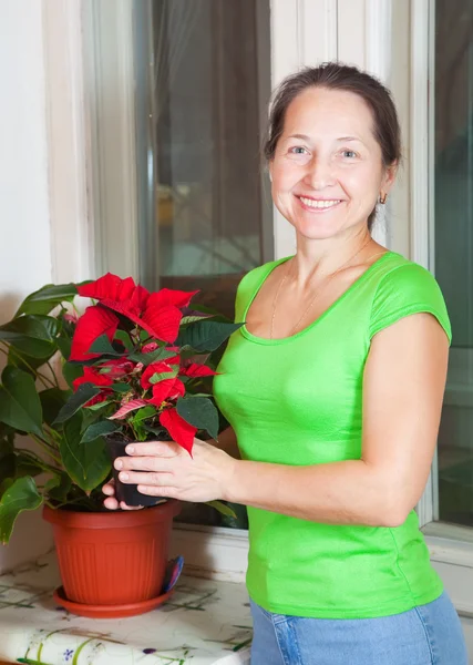 Mujer Madura Con Flores Poinsettia Maceta Casa — Foto de Stock