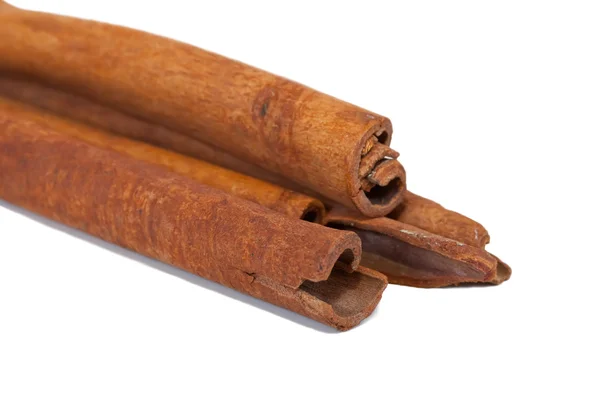 Cinnamon Bark Isolated White Background — Stock Photo, Image