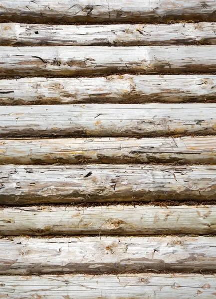 Pine balk vägg — Stockfoto