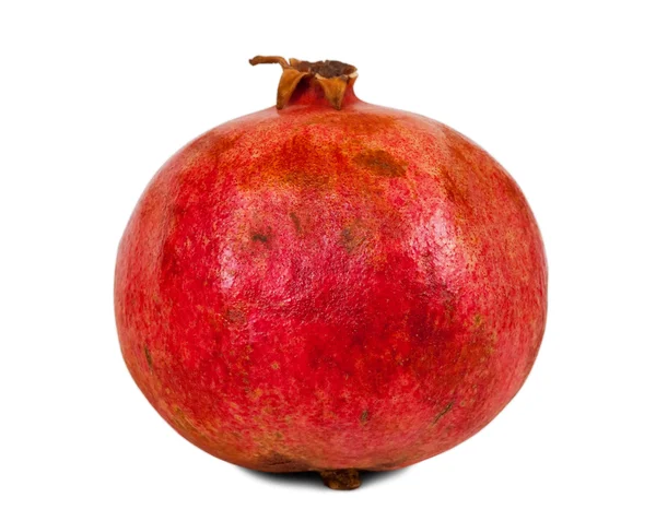 stock image One pomegranate