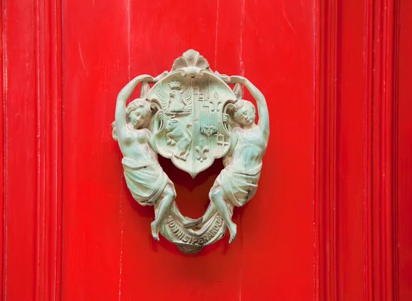Vintage brass door knocker — Stock Photo, Image